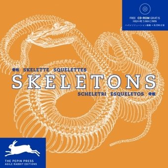 Skelette / Skeletons (Agile Rabbit Edition) Architecture