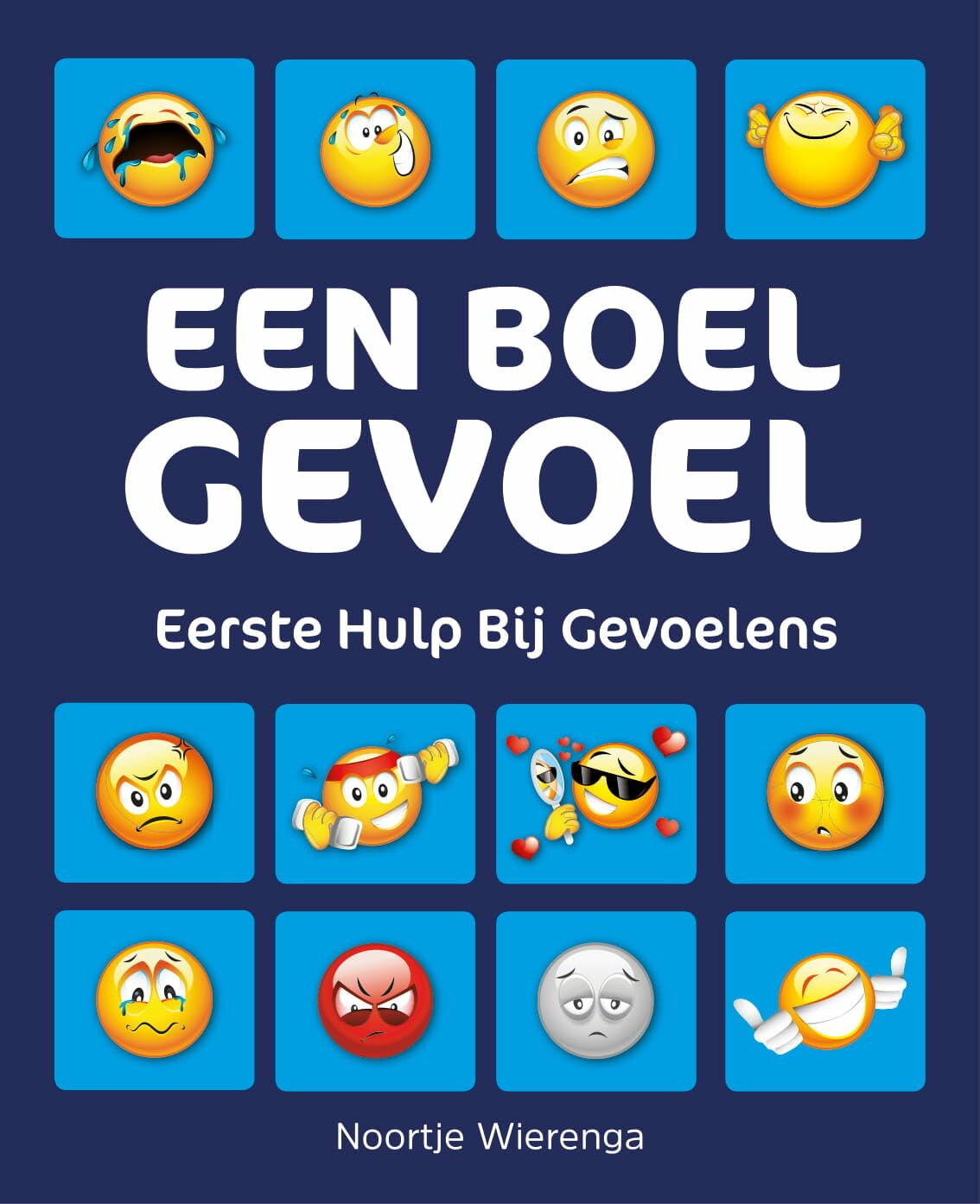 Een boel gevoel: eerste hulp bij gevoelens book