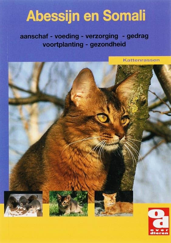 Abessijn en Somali: kattenrassen book