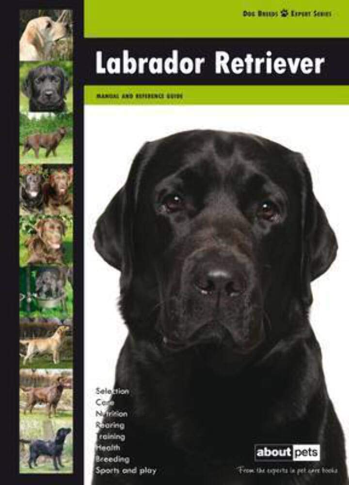 Labrador Retriever (Dog Breed Expert Series) Pets