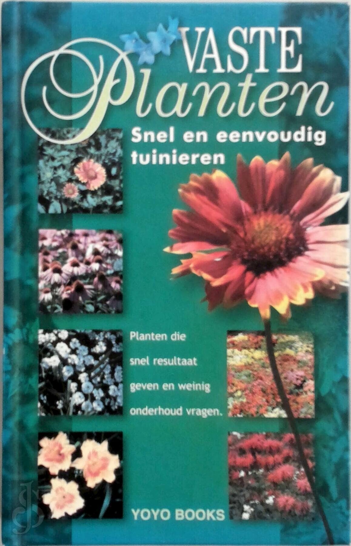 Vaste planten: snel en eenvoudig tuinieren book
