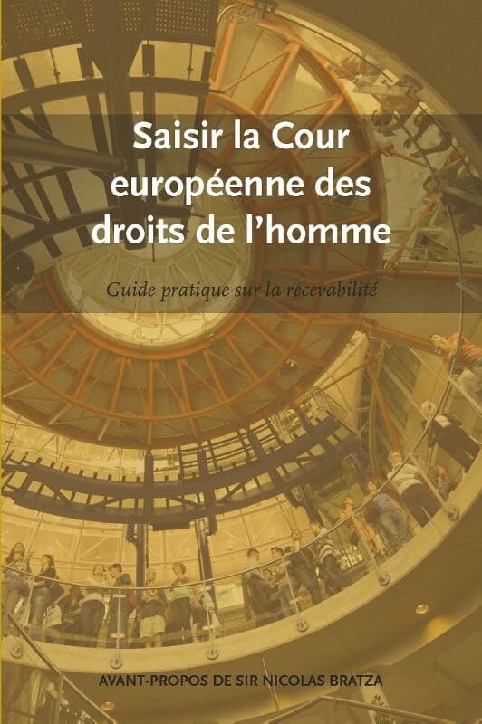 Saisir la Cour europeenne des droits de l'homme: guide pratique sur la recevabilite book