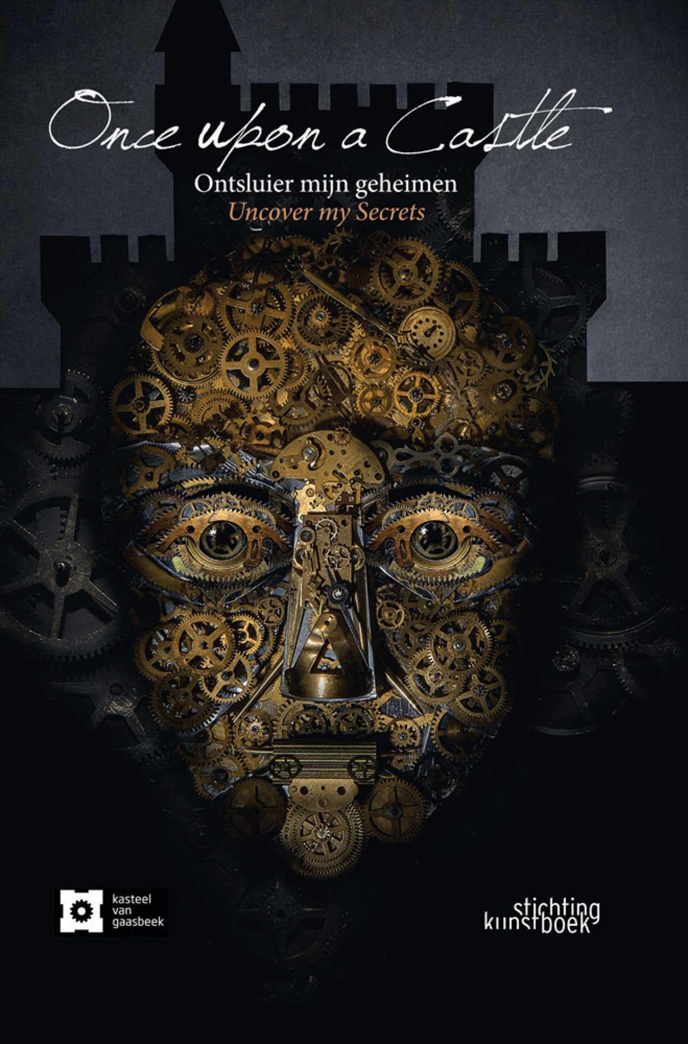 Once upon a Castle: Ontsluier mijn geheimen / Unveil My Secrets book