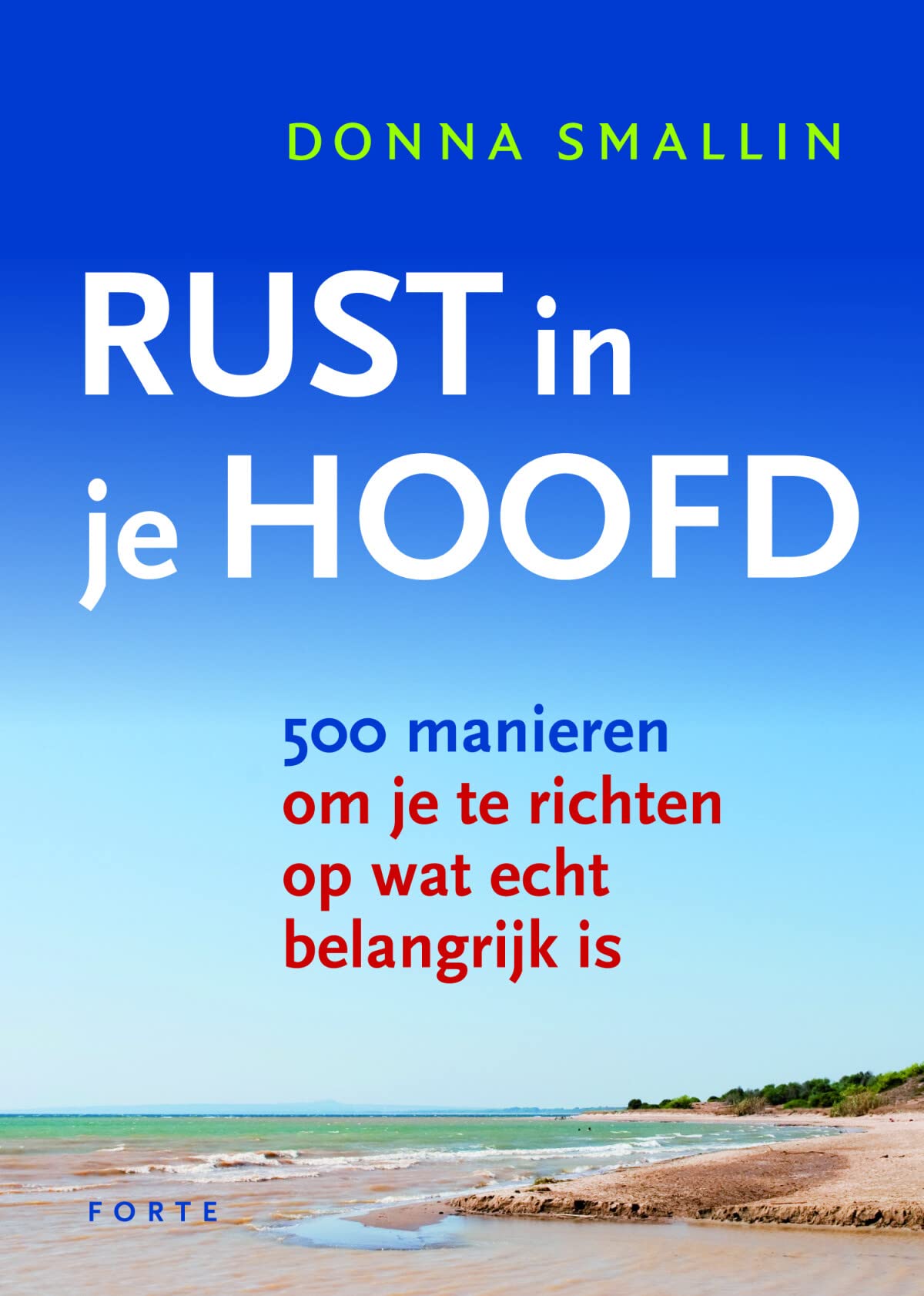 Rust in je hoofd: 500 manieren om je te richten op wat echt belangrijk is Psychology