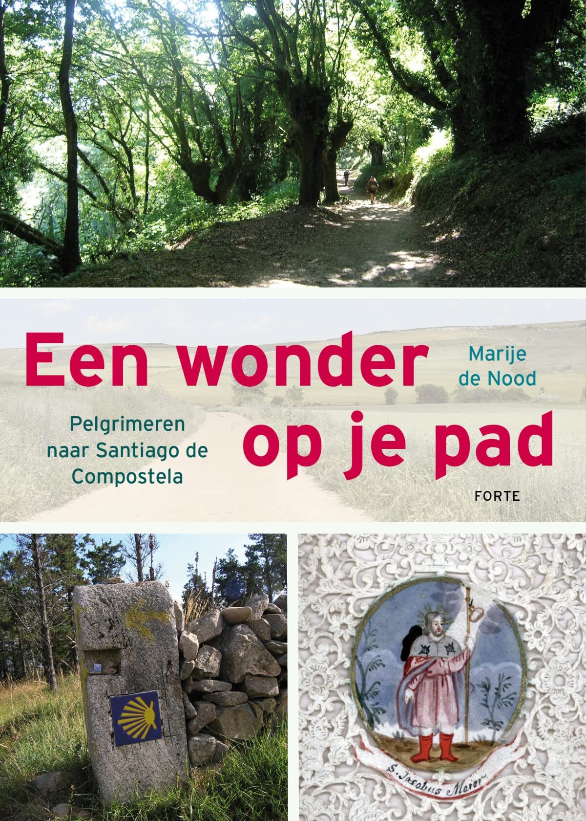 Een wonder op je pad: Pelgrimeren naar Santiago de Compostela book