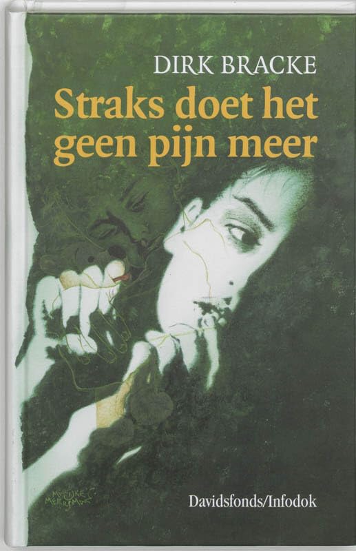 Straks doet het geen pijn meer (Davidsfonds/Infodok-jeugd) Novels & Short Stories