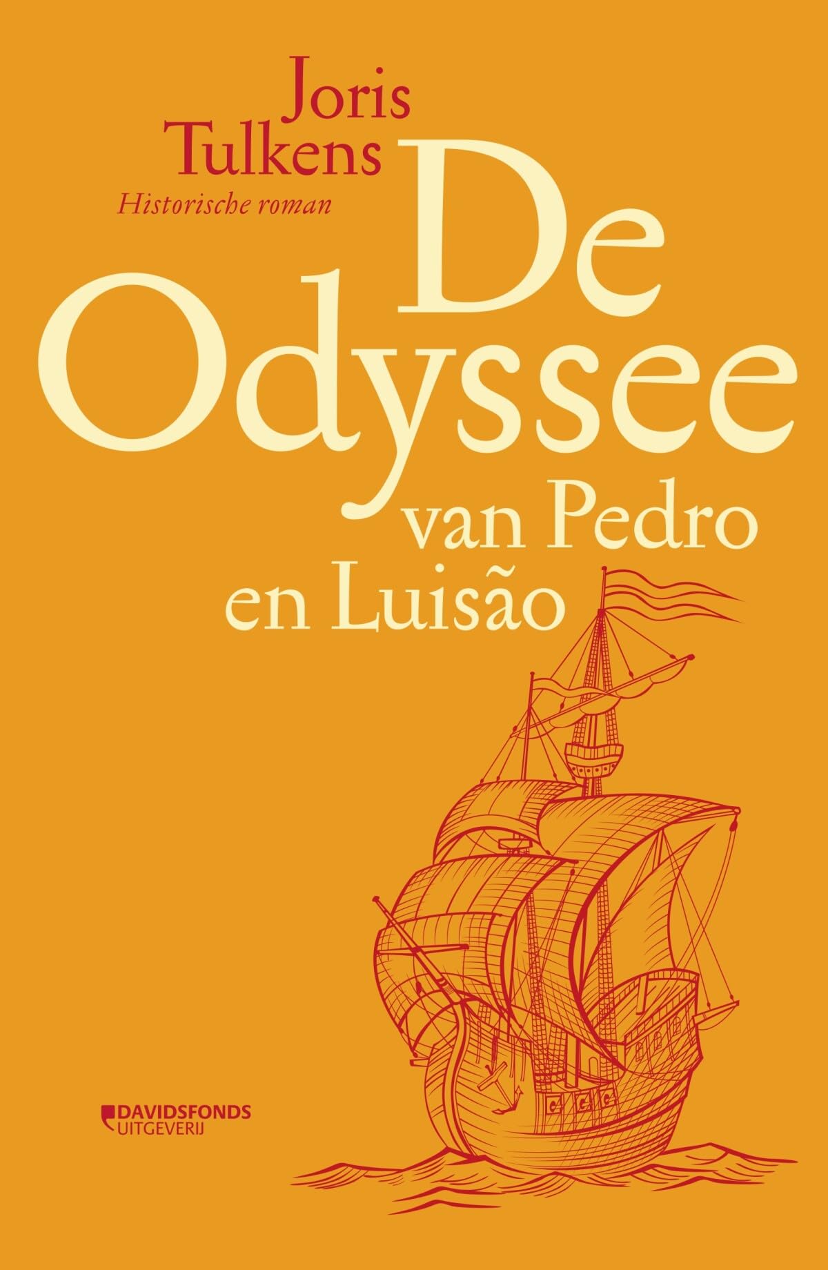 De odyssee van Pedro en Luisão: historische roman book