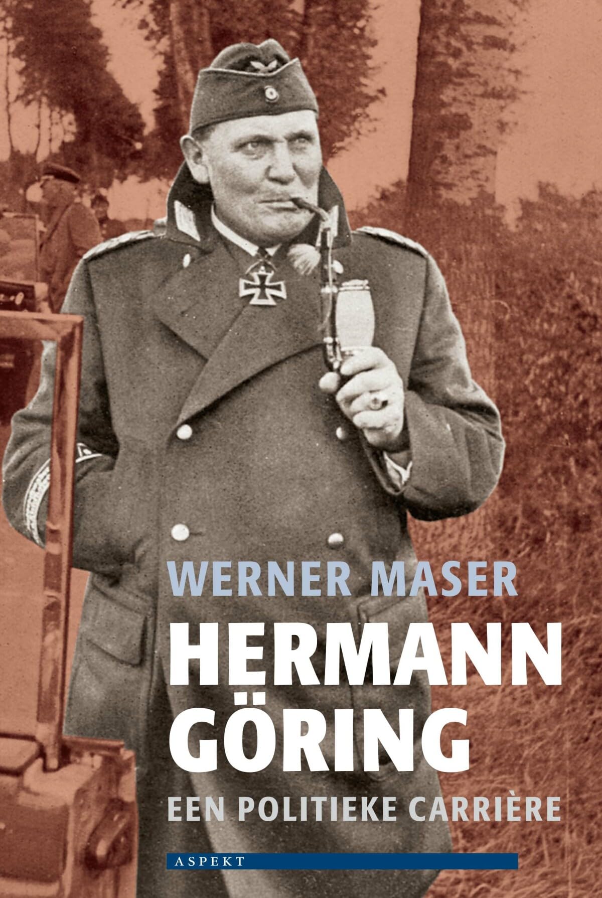 Hermann Goring: een politieke biografie book