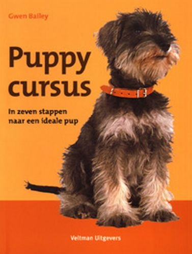Puppycursus: in zeven stappen naar een ideale pup Pets
