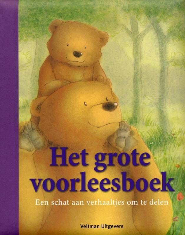 Het grote voorleesboek: een schat aan verhaaltjes om te delen book