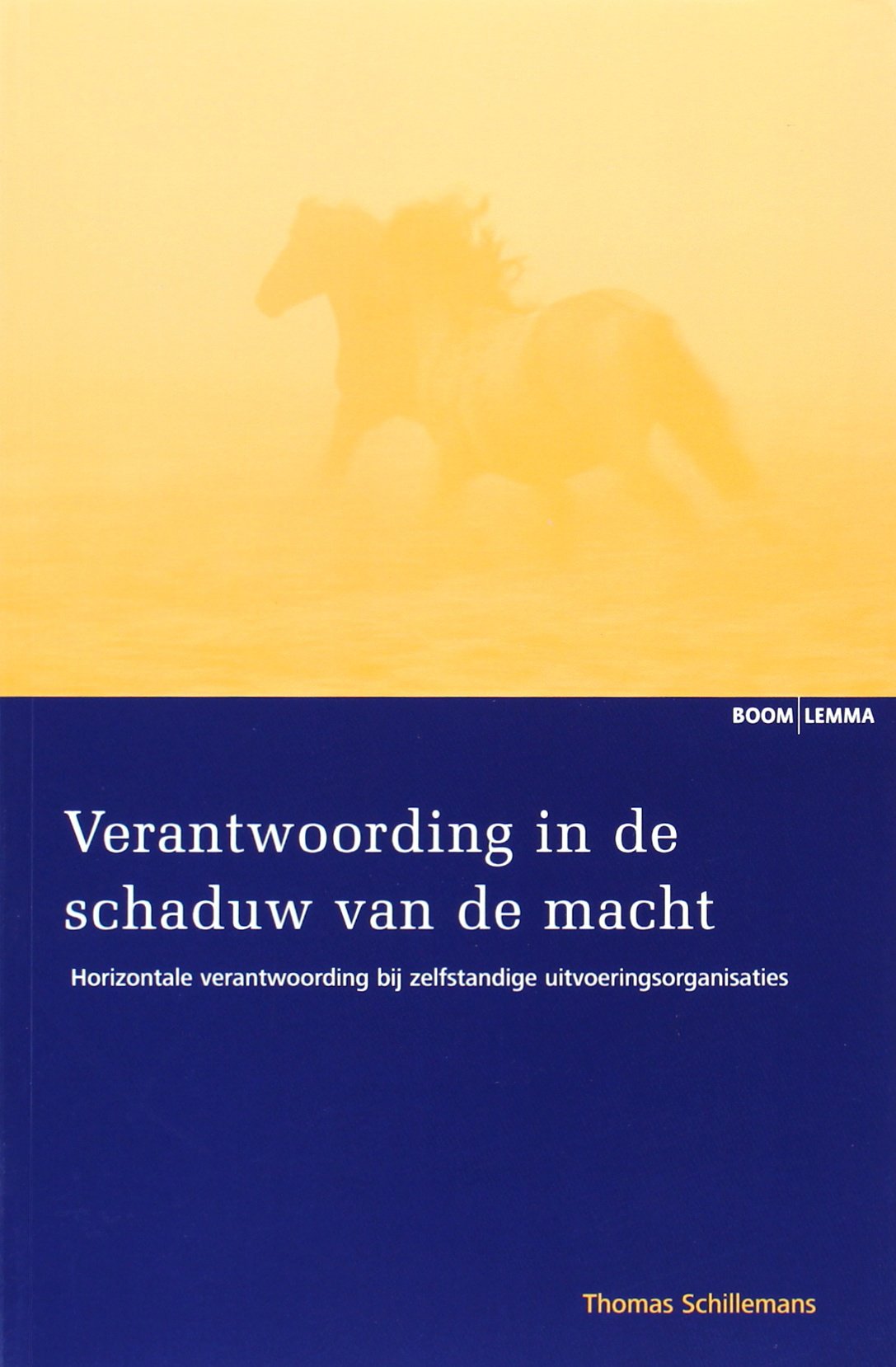 Verantwoording in de schaduw van de macht: horizontale verantwoording bij zelfstandige uitvoeringsorganisaties Business, Finance & Career