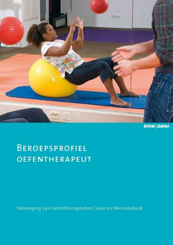 Beroepsprofiel oefentherapeut (Zorginnovatie) Medicine