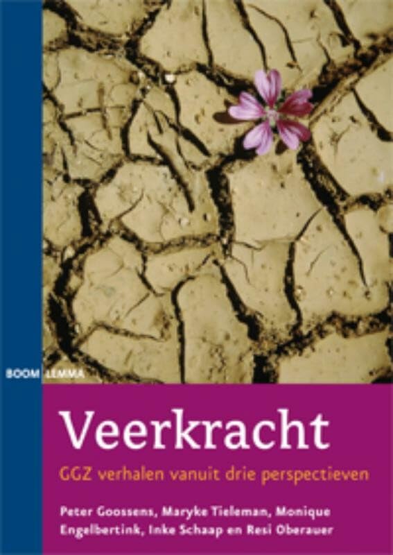 Veerkracht: herstelverhalen vanuit drie perspectieven Books