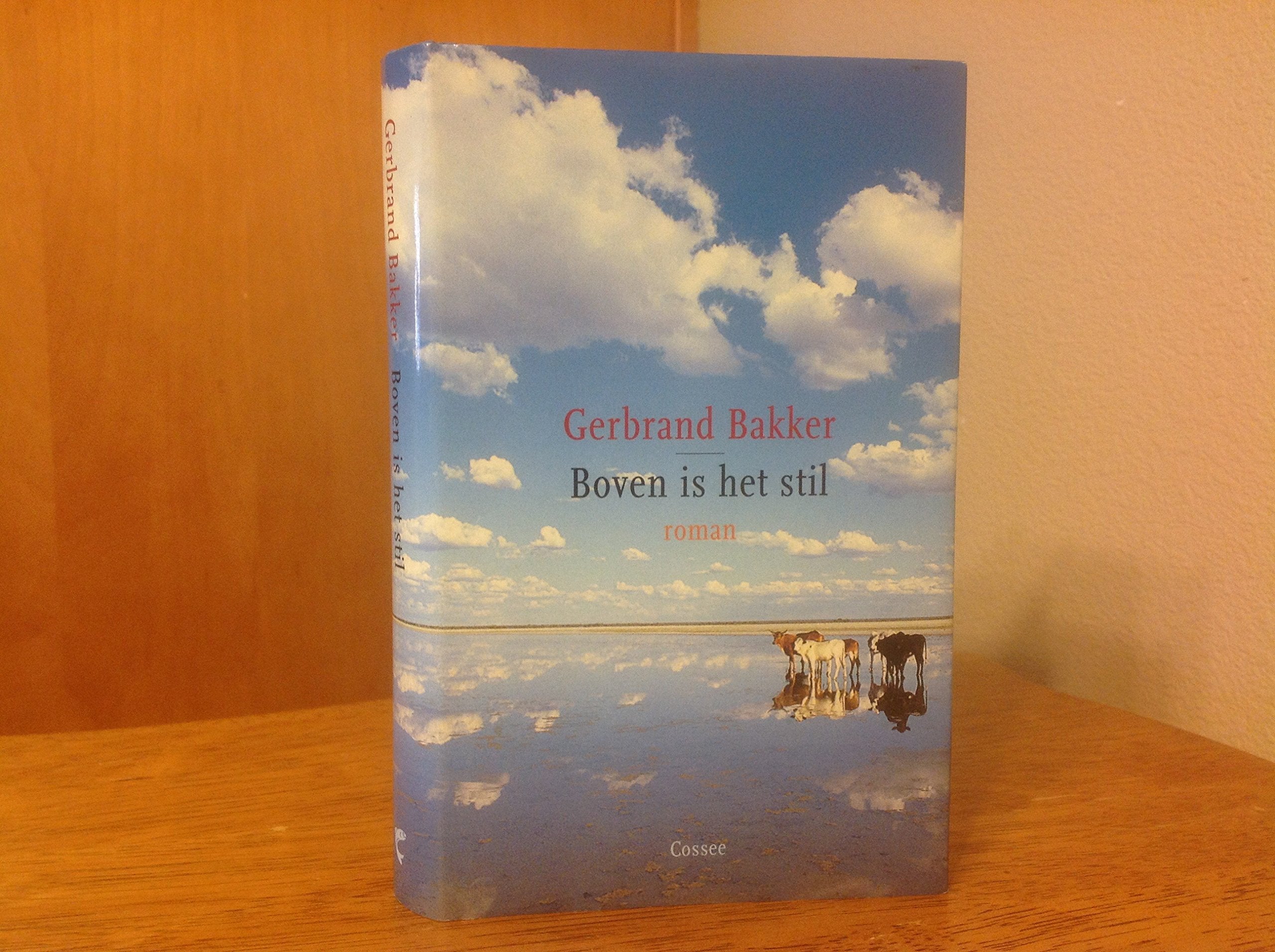 Boven is het stil Contemporary literature Books