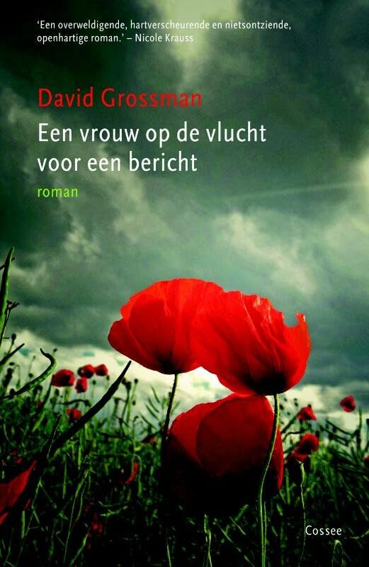 Een vrouw op de vlucht voor een bericht: roman book