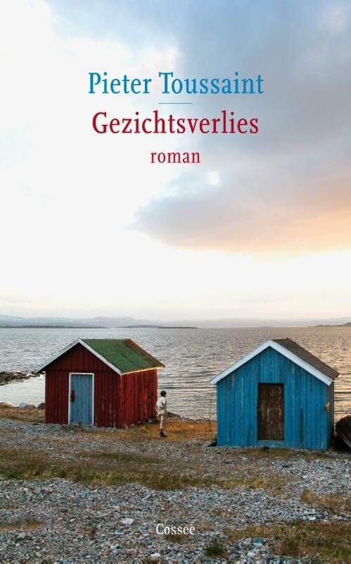Gezichtsverlies: roman book