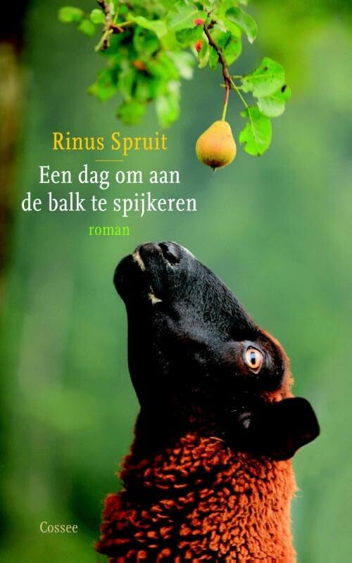 Een dag om aan de balk te spijkeren Contemporary literature
