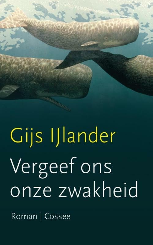 Vergeef ons onze zwakheid: roman book