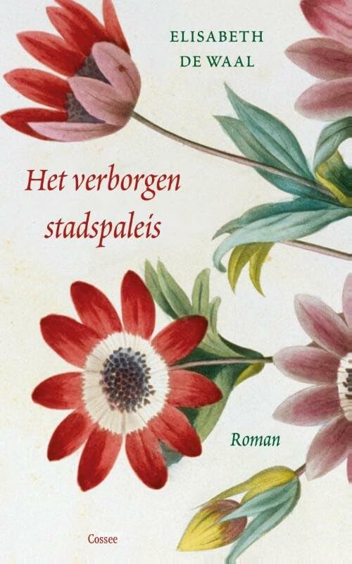 Het verborgen stadspaleis: roman book