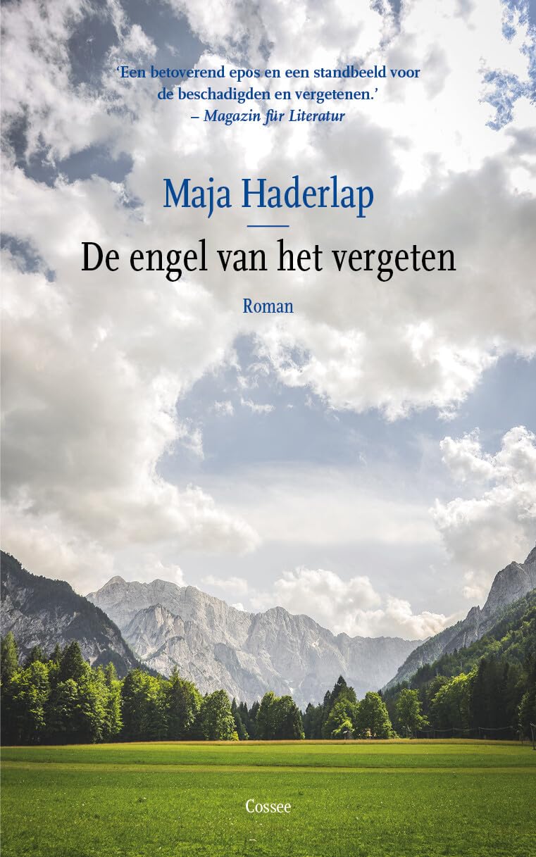 De engel van het vergeten: roman Contemporary literature
