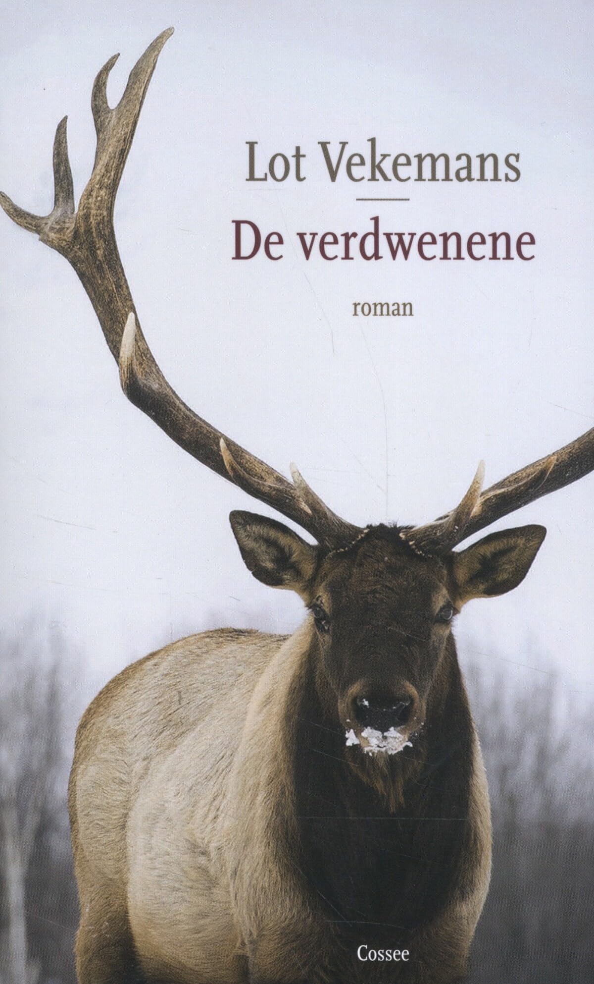 De verdwenene: roman book