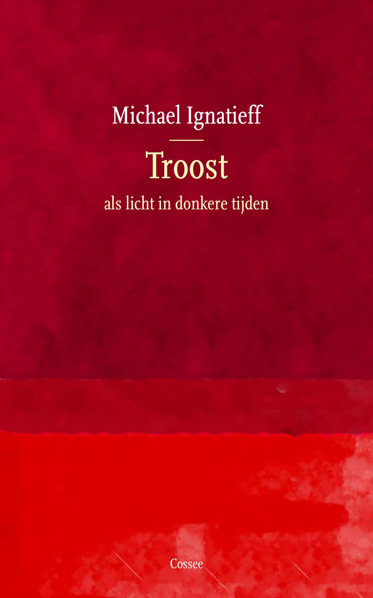 Troost: als licht in donkere tijden book