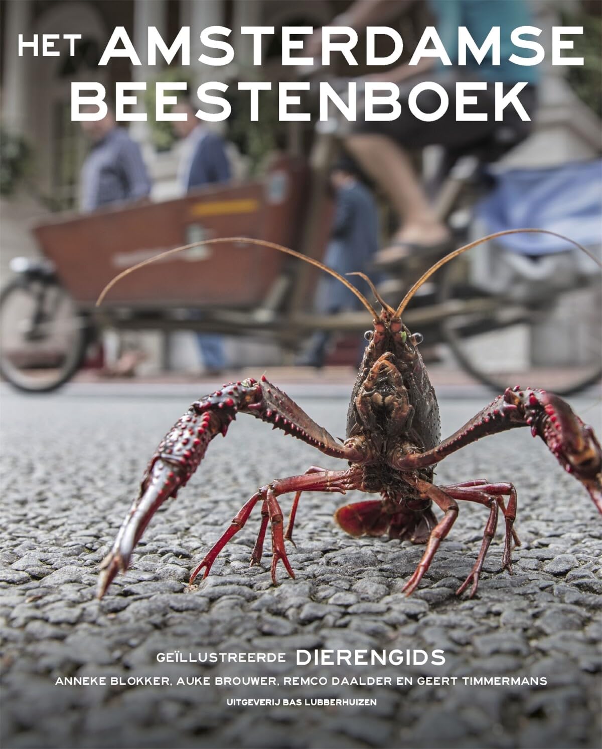 Het Amsterdamse beestenboek: geïllustreerde dierengids Mathematics