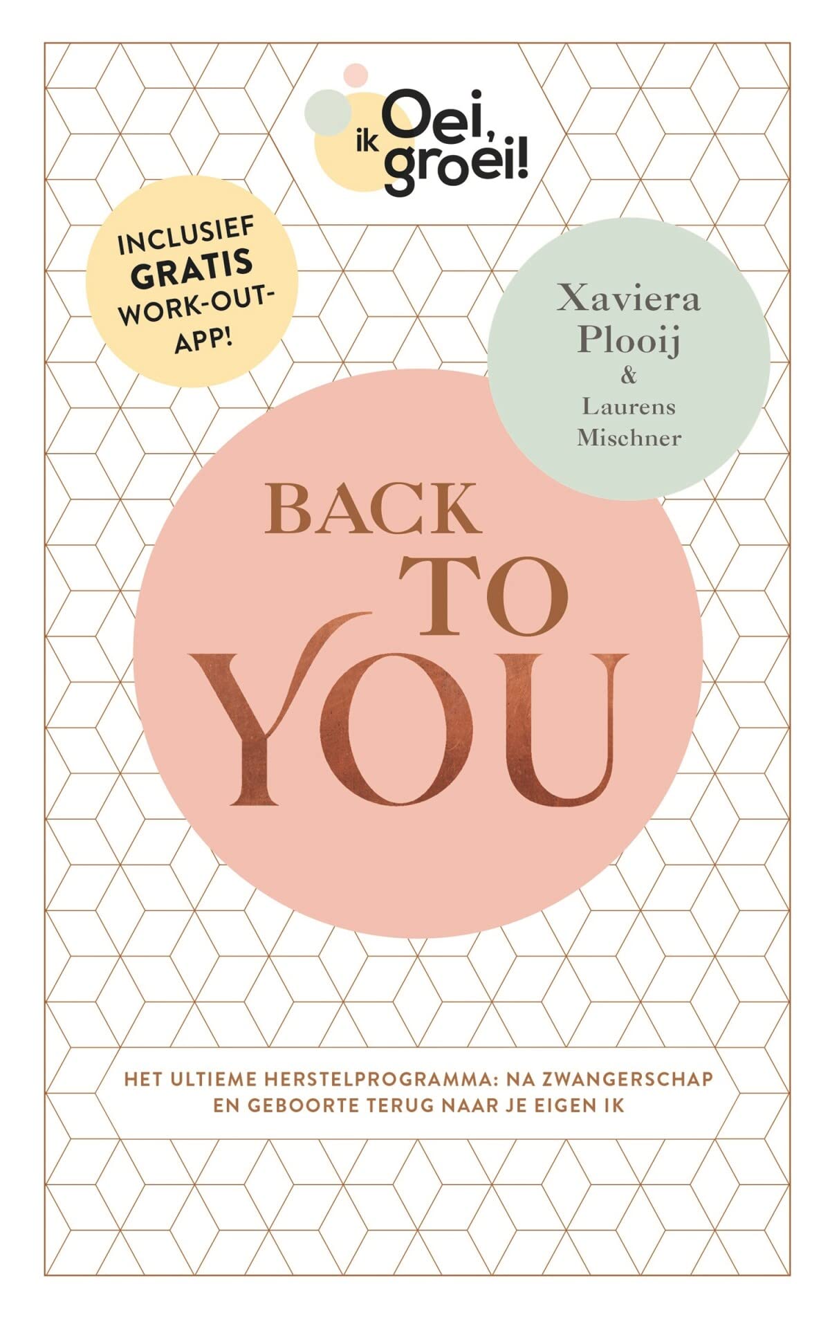 Back to you: het ultieme herstelprogramma : na zwangerschap en geboorte terug naar je eigen ik book
