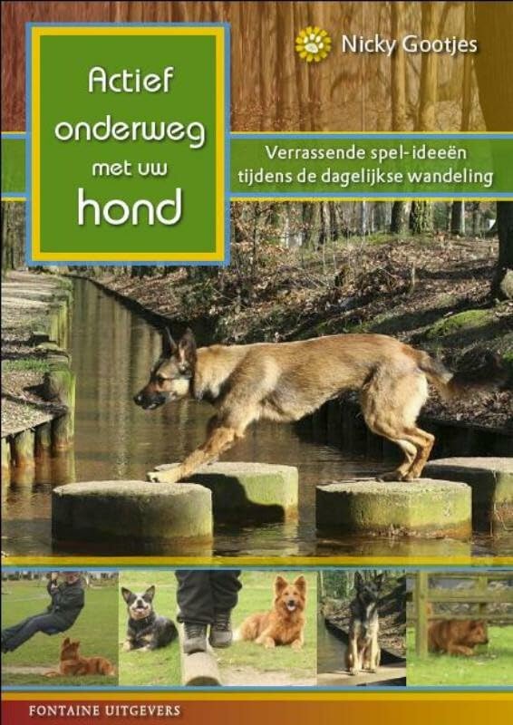 Actief onderweg met uw hond: verrassende spel-ideeën tijdens de dagelijkse wandeling book