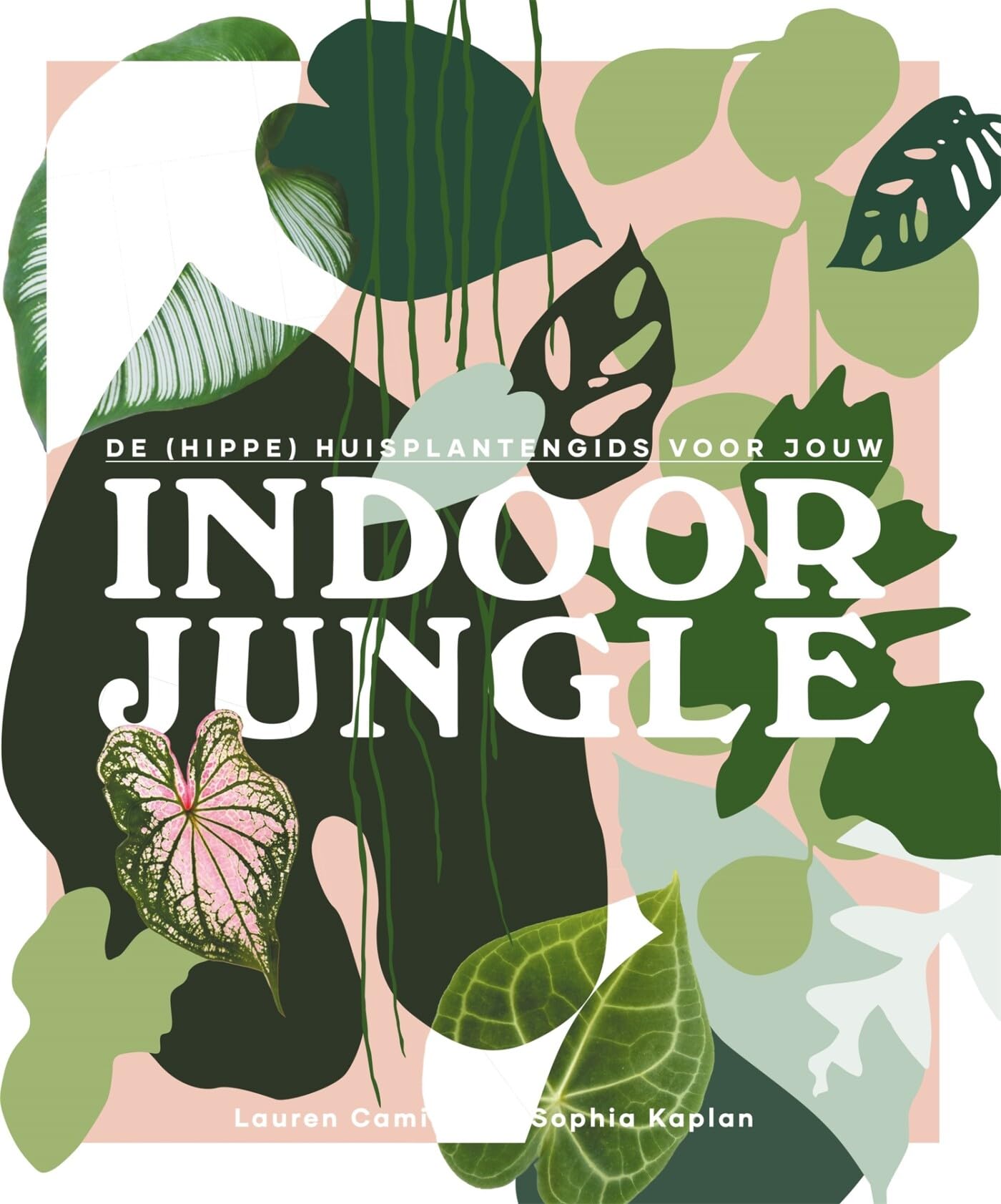 De (hippe) huisplantengids voor jouw indoor jungle Hobbies & Crafts