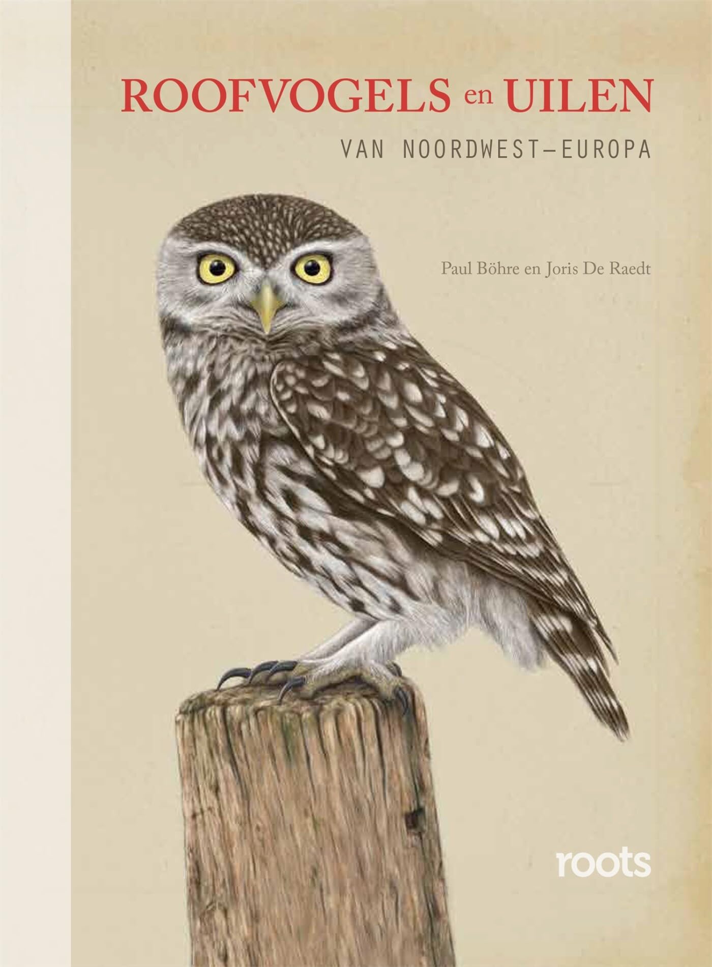 Roofvogels en uilen: van Noordwest-Europa Mathematics