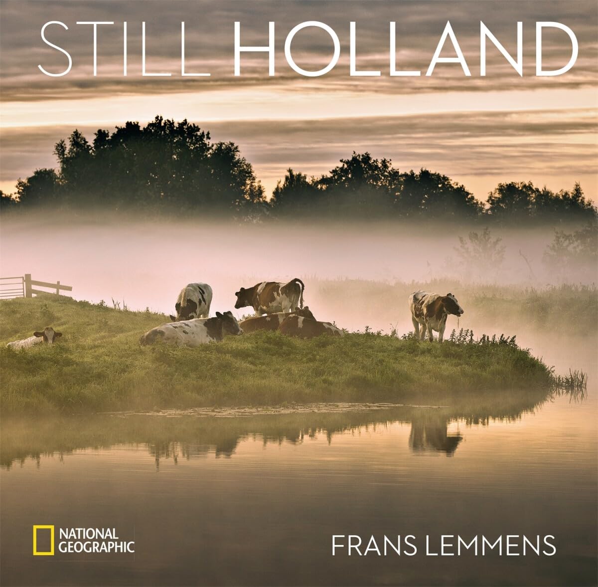 Product Image: Still Holland