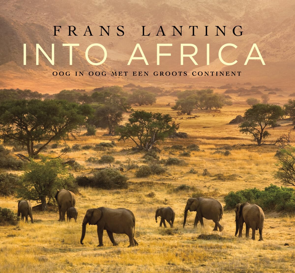 Into Africa: oog in oog met een groots continent book
