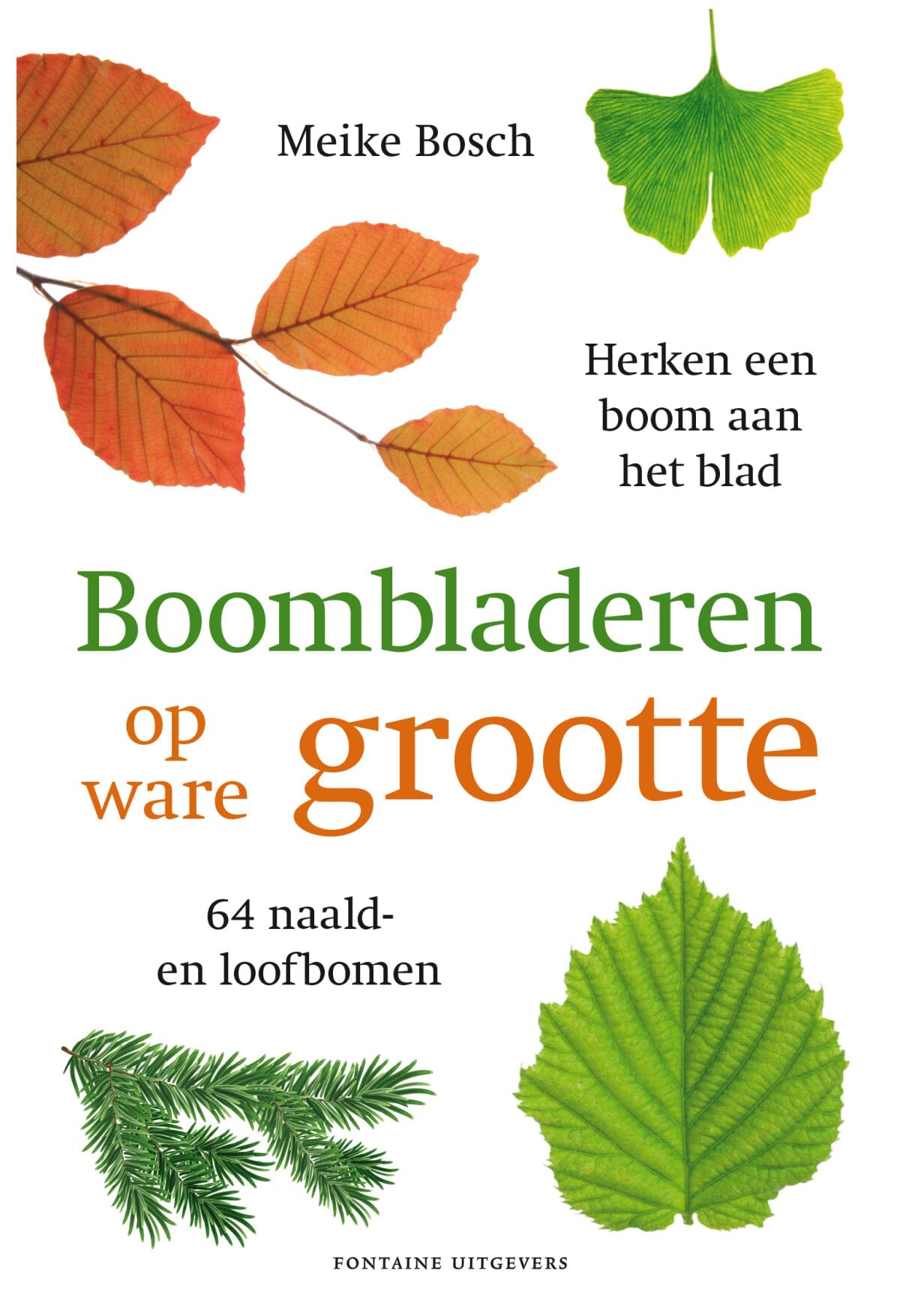 Boombladeren op ware grootte: herken een boom aan het blad : met 64 naald- en loofbomen book