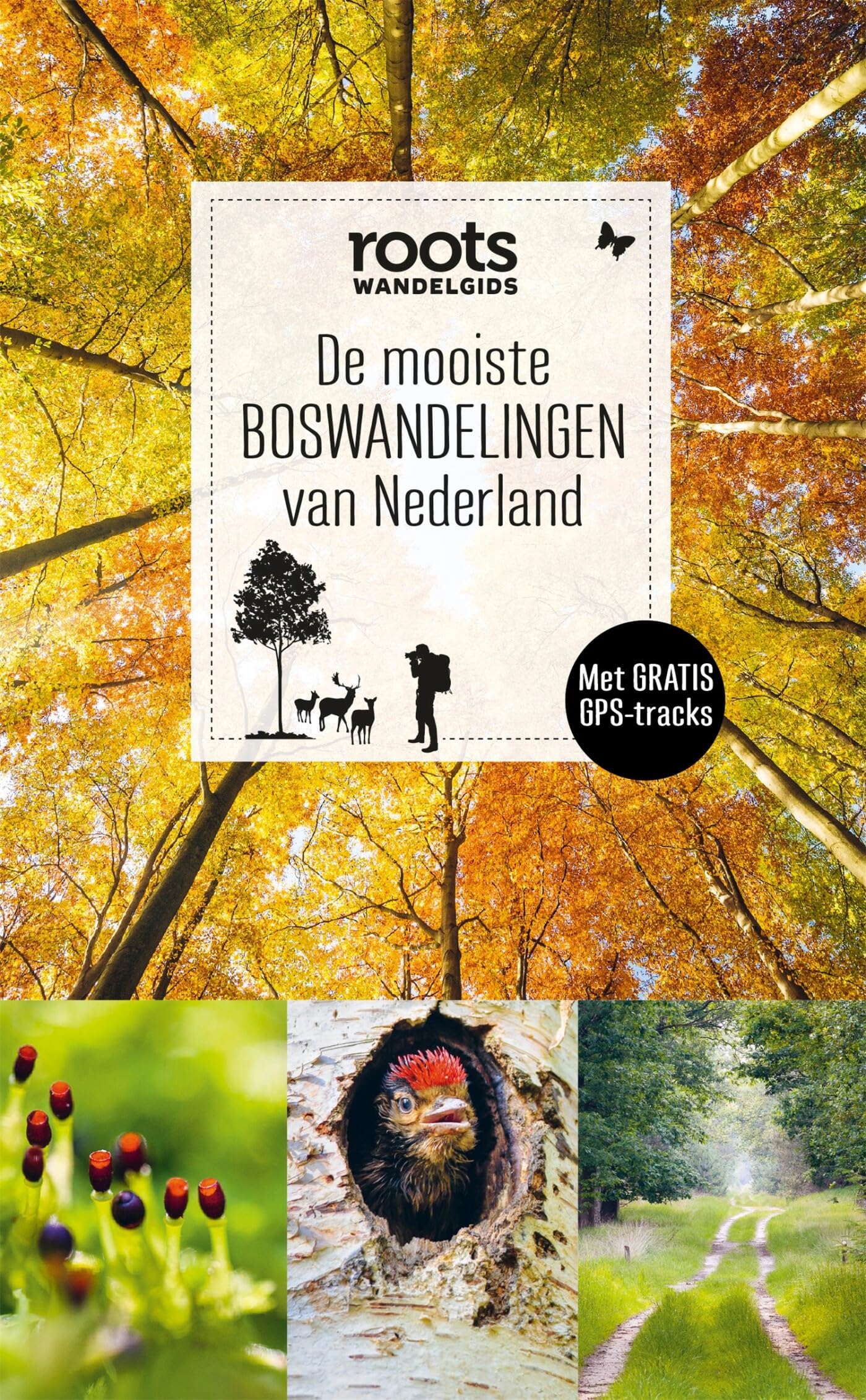 De mooiste boswandelingen van Nederland book
