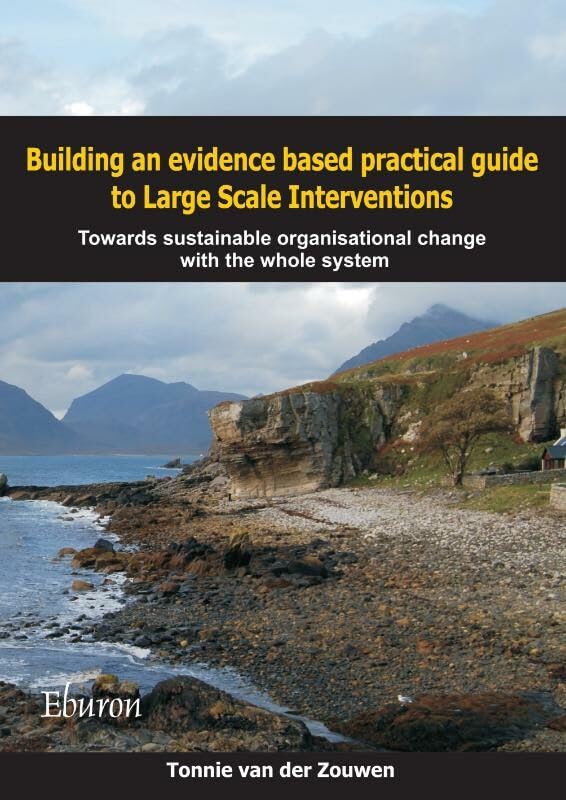 Building an evidence based practical guide to Large Scale Interventions: Towards sustainable organisational change with the whole system Business, Finance & Career