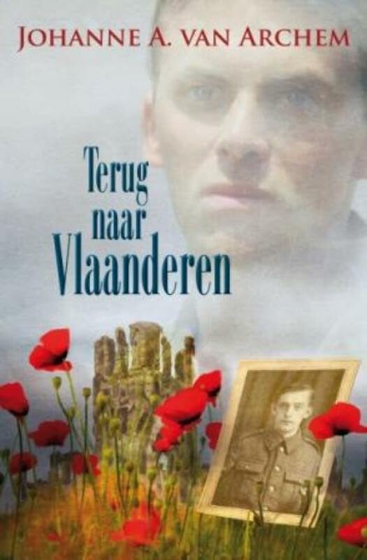 Terug naar Vlaanderen book