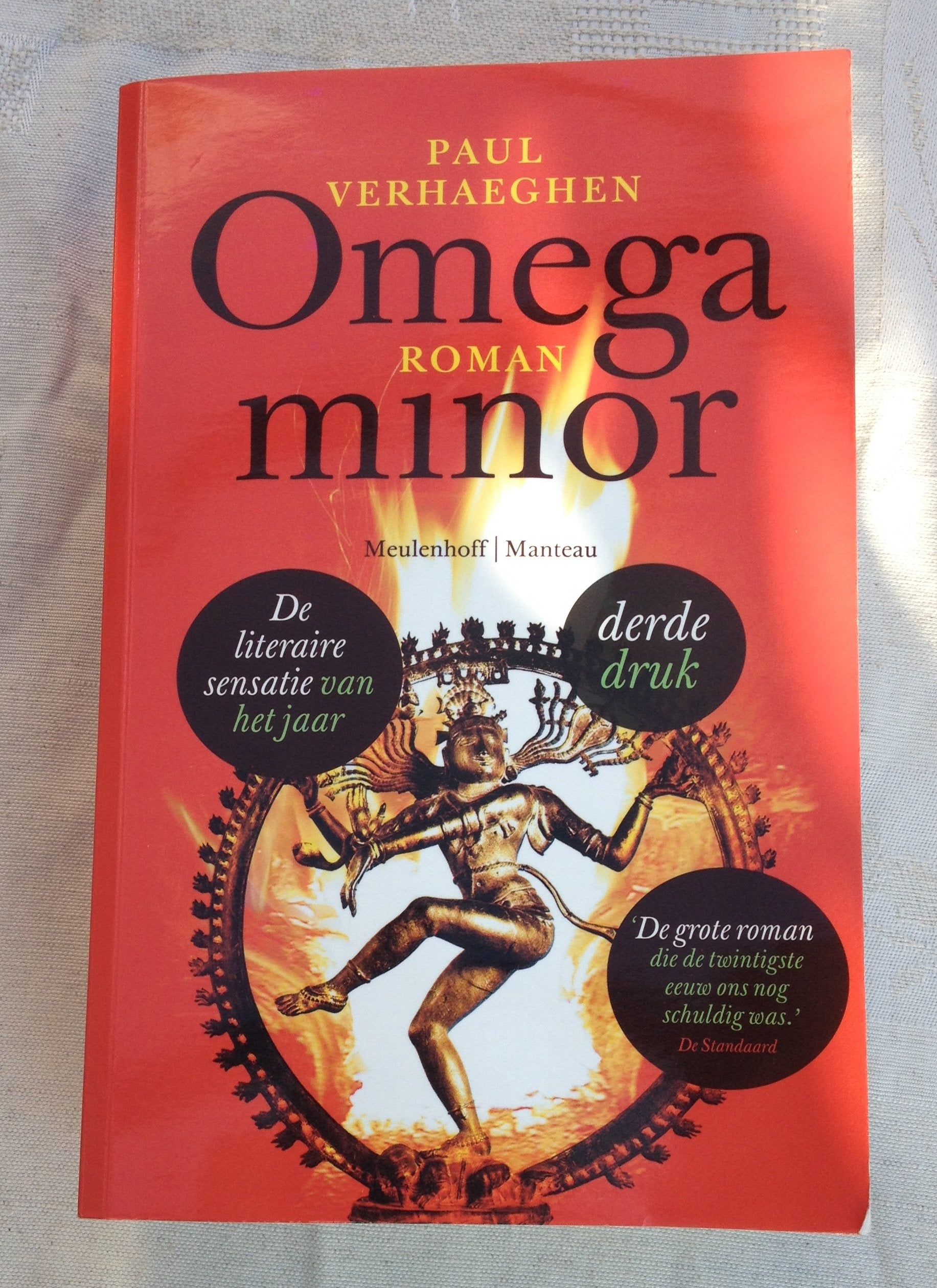 Omega minor: roman book