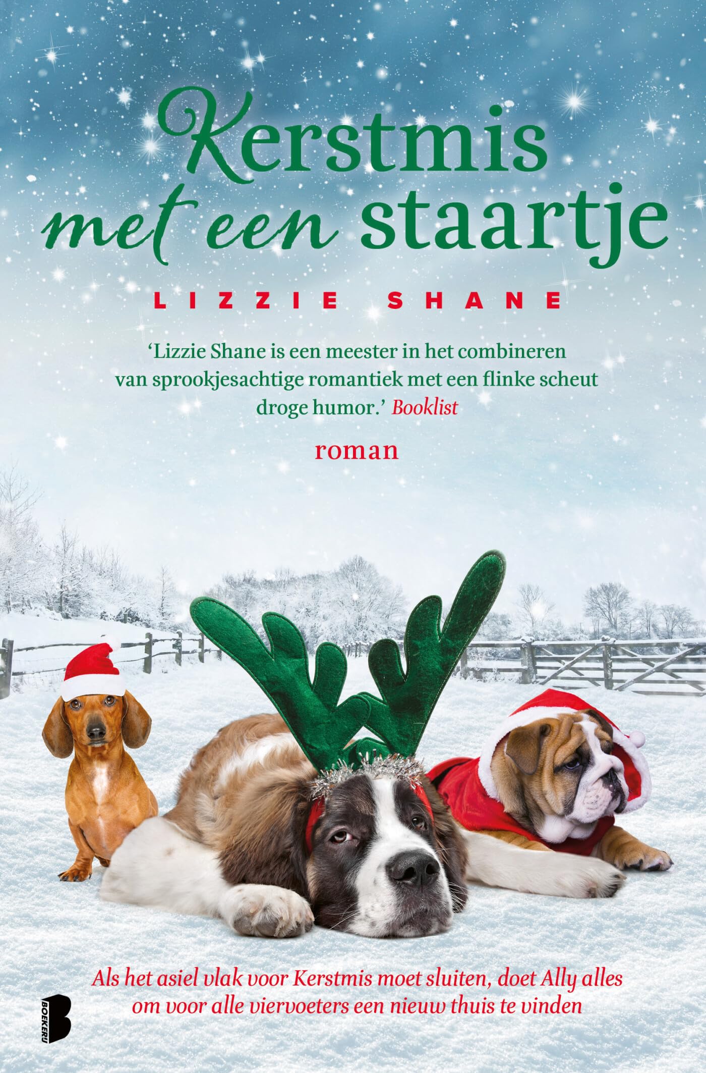 Kerstmis met een staartje: Als het asiel vlak voor Kerstmis moet sluiten, doet Ally alles om voor alle viervoeters een nieuw thuis te vinden book