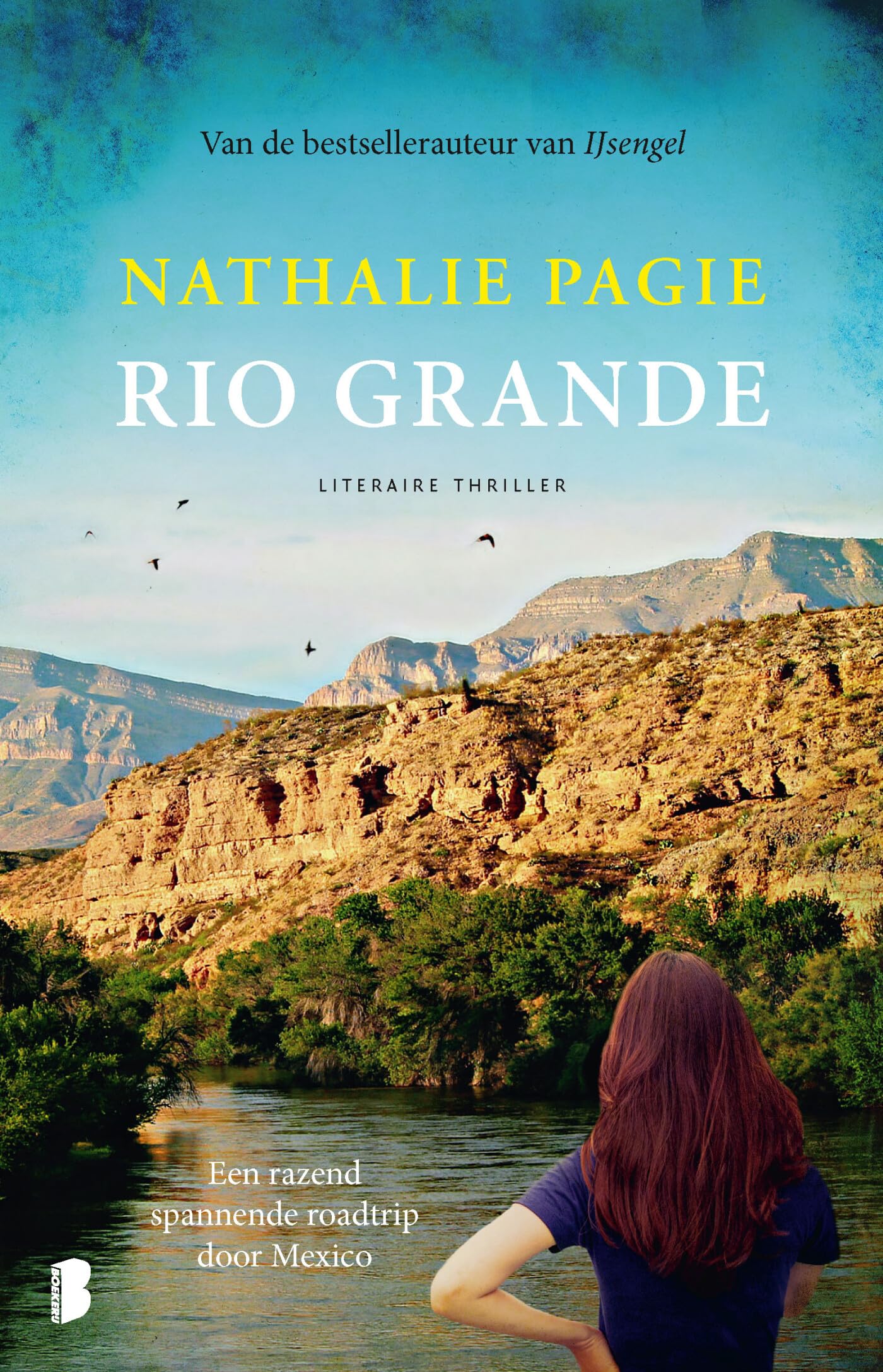 Rio Grande: een razend spannende roadtrip door Mexico book