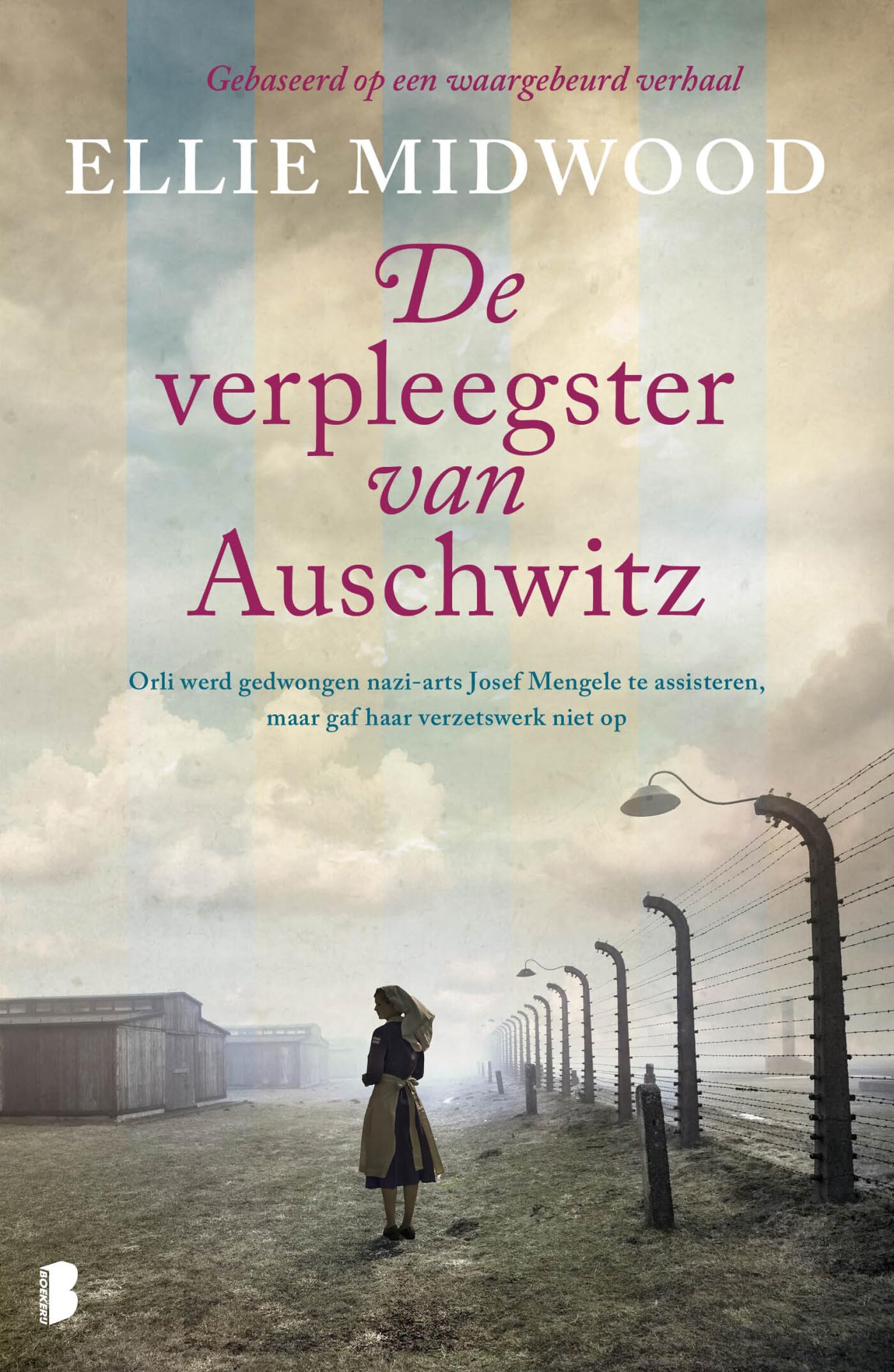 De verpleegster van Auschwitz book