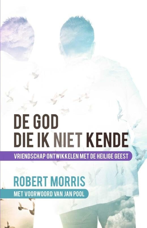 De God die ik niet kende: vriendschap ontwikkelen met de heilige geest book