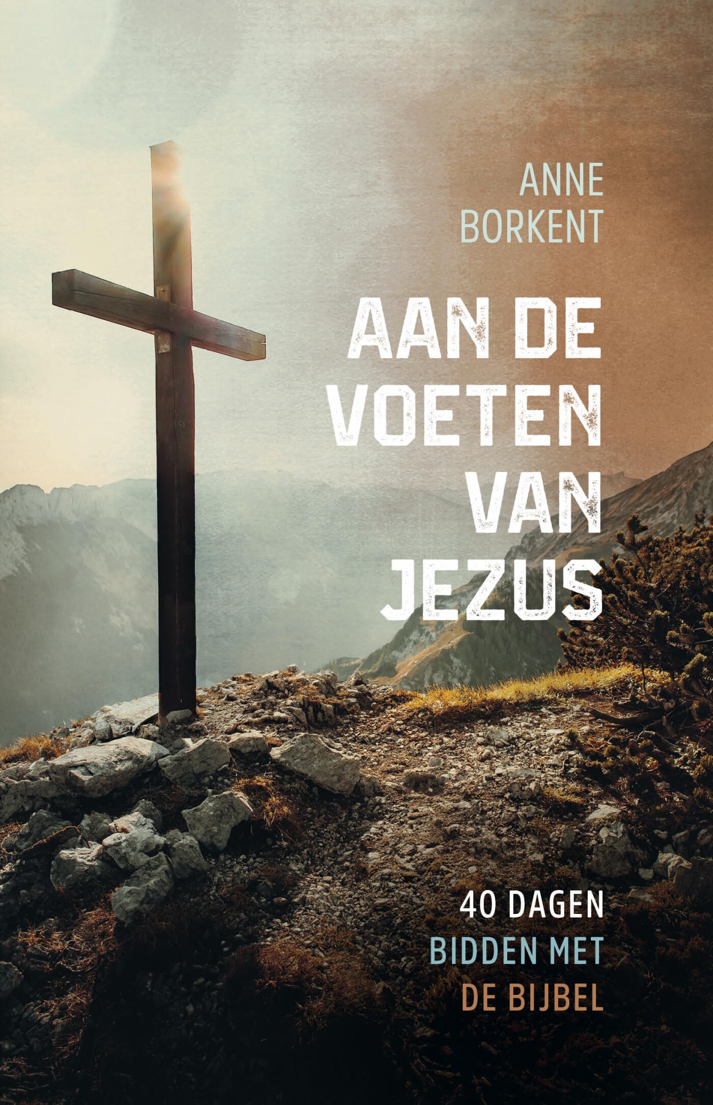 Aan de voeten van Jezus: 40 dagen bidden met de Bijbel book