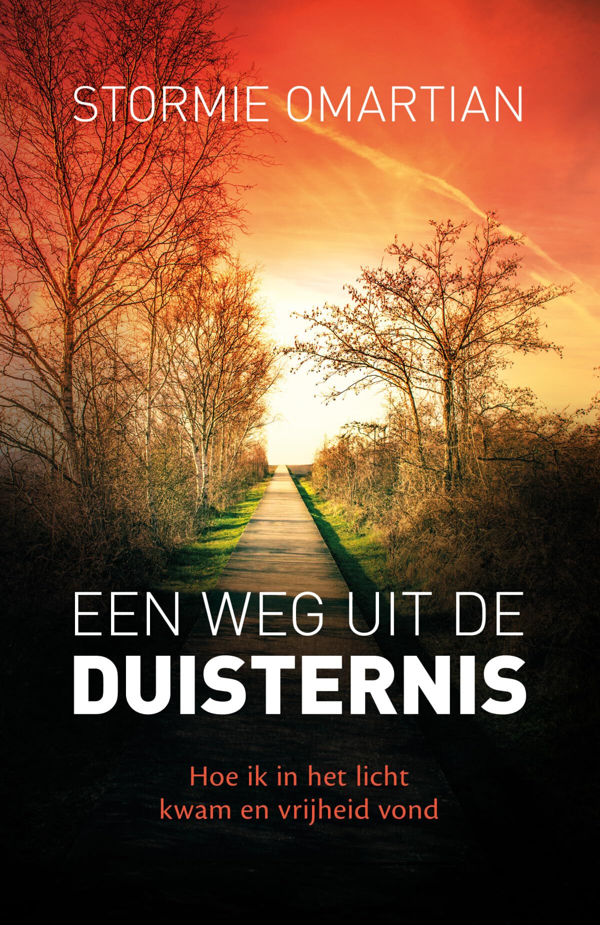Een weg uit de duisternis book