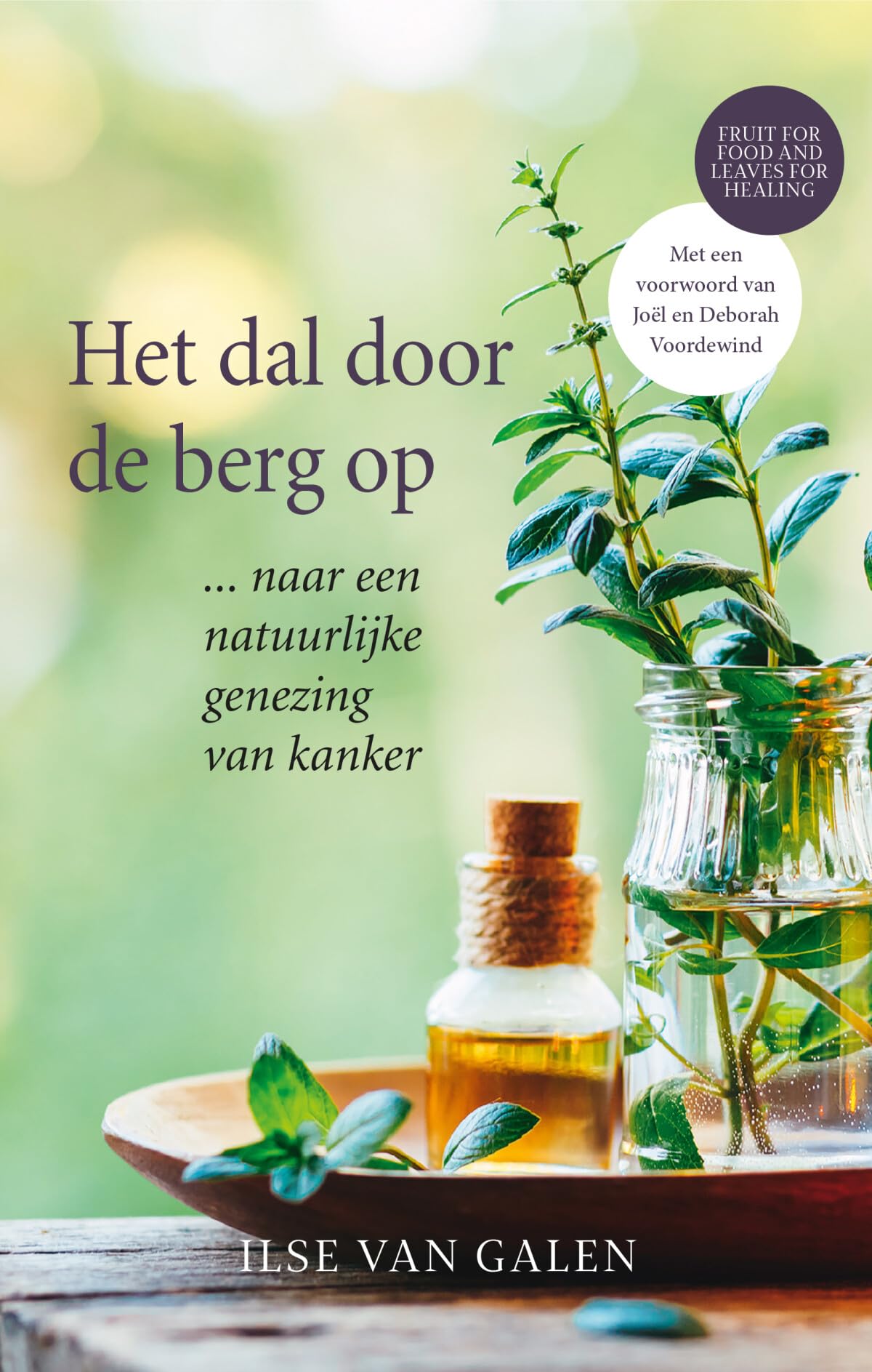 Het dal door de berg op: ... naar een natuurlijke genezing van kanker book