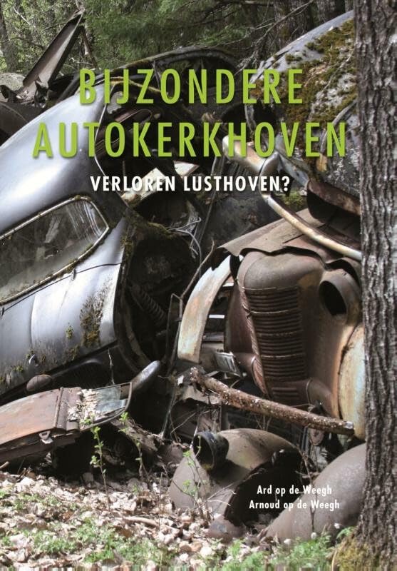 Bijzondere autokerkhoven: verloren lusthoven? book