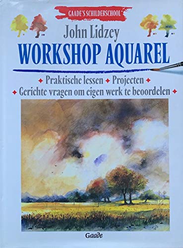 Gaade's schilderschool Workshop aquarel: praktische lessen, projecten, gerichte vragen om eigen werk te beoordelen book
