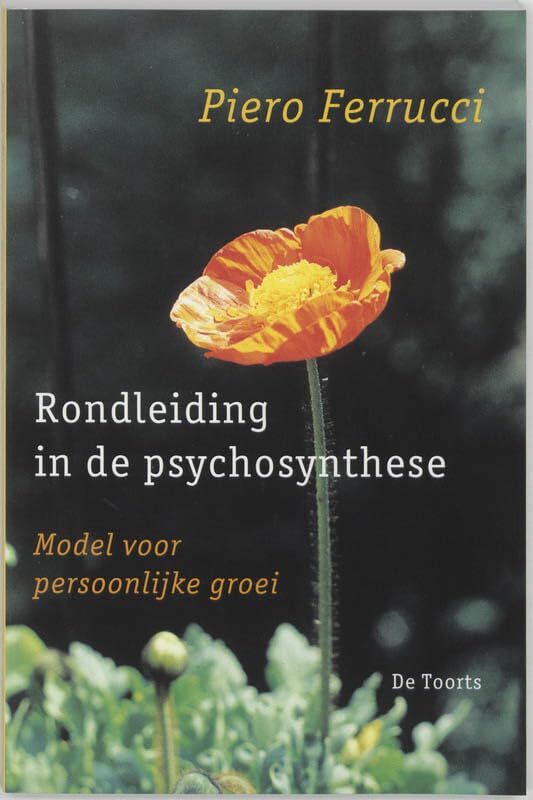 Rondleiding in de psychosynthese: model voor persoonlijke groei book