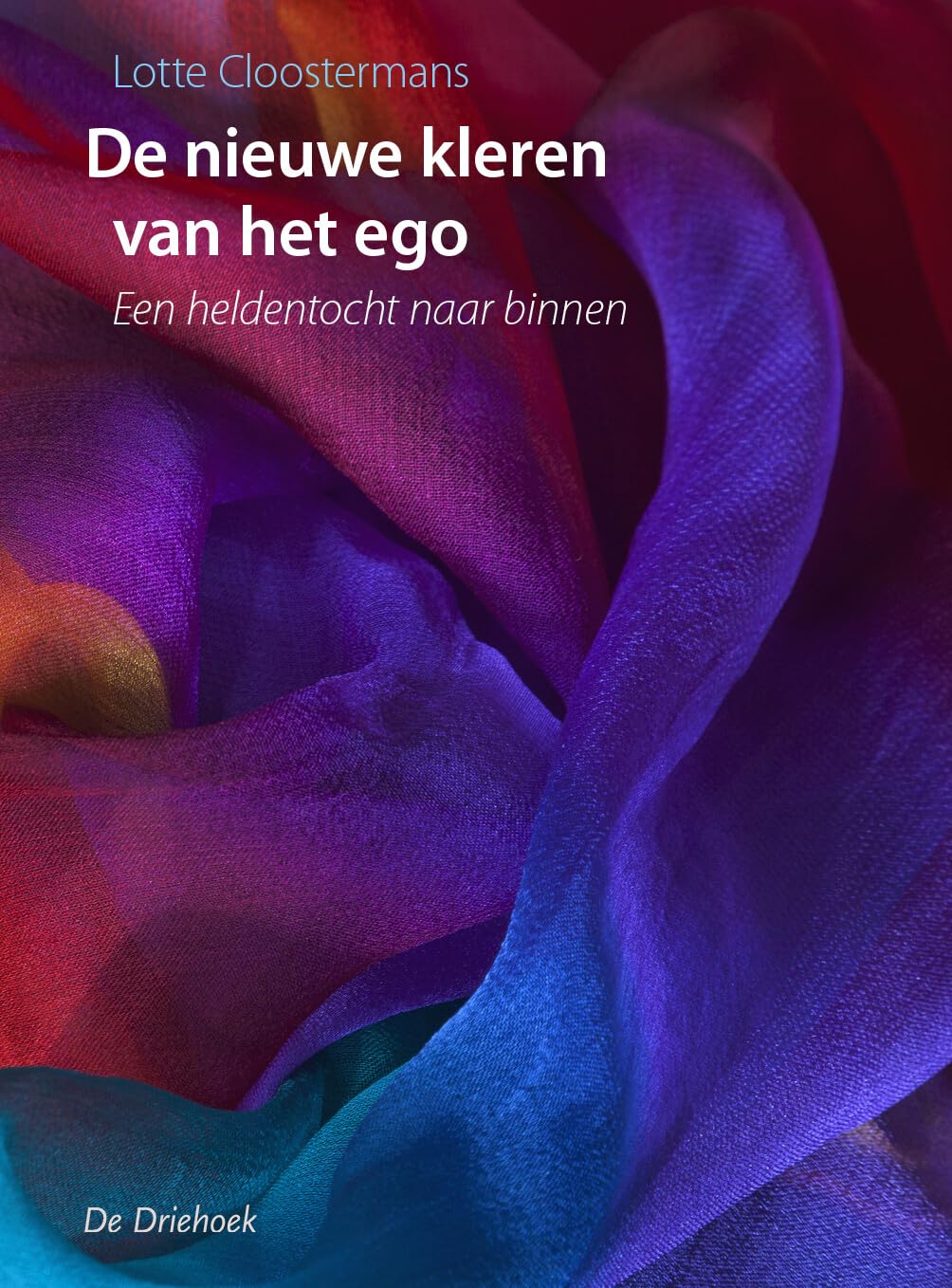 De nieuwe kleren van het ego: een heldentocht naar binnen book