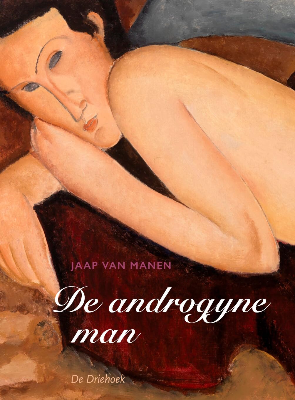 De androgyne man: de dans van mannelijk en vrouwelijk in de man Religion & Esotericism